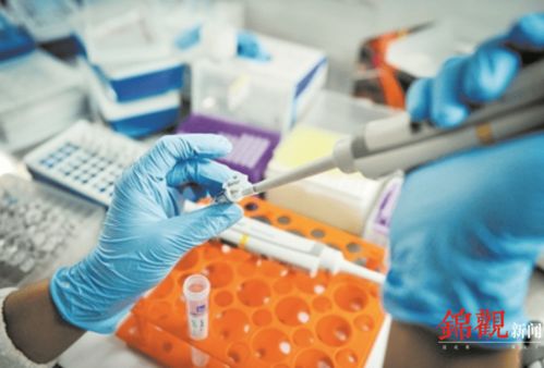 睿樂達再次吸睛 從機器人到原研藥，看成都566.8億元高新技術產品背后的創(chuàng)新韌性